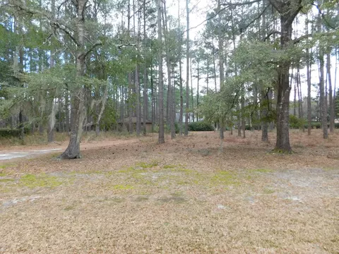 211 Harriett St, Hampton, SC 29924 photo 49