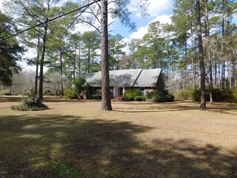 211 Harriett St, Hampton, SC 29924 photo 39