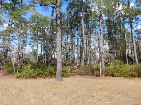 211 Harriett St, Hampton, SC 29924 photo 32