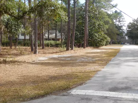 211 Harriett St, Hampton, SC 29924 photo 47