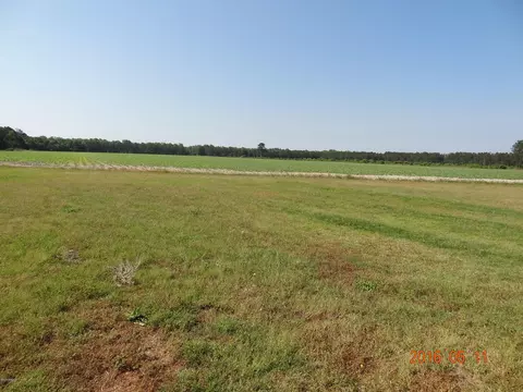 733 Memory Dr, Walterboro, SC 29488 photo 15