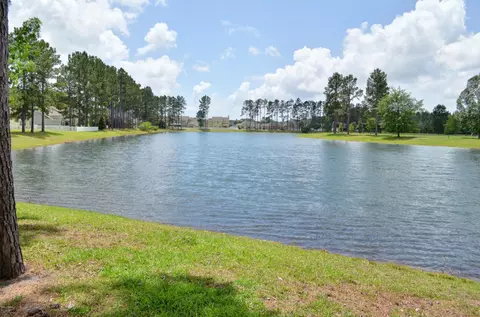 4 Junction Way, Bluffton, SC 29910 photo 22