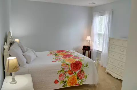4 Junction Way, Bluffton, SC 29910 photo 16