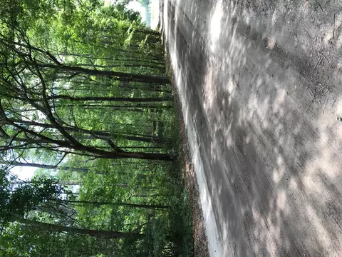 18 Davis Rd, Bluffton, SC 29901 photo 2