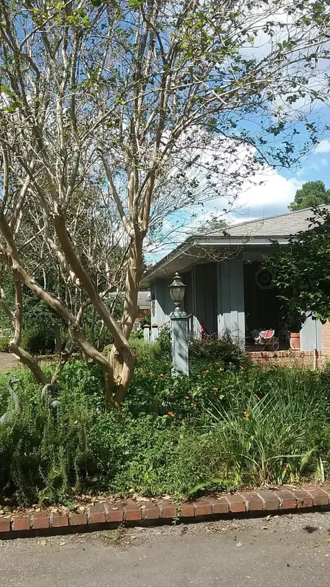 304 Ginn Altman Ave, Hampton, SC 29924 photo 11