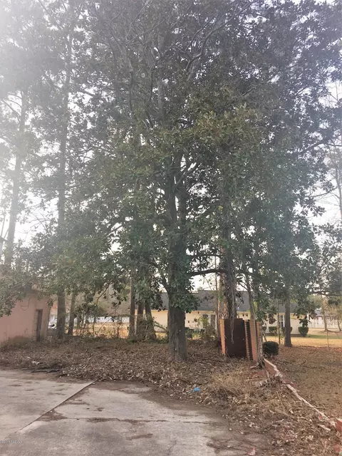 610 Lightsey St Ext, Hampton, SC 29924 photo 10