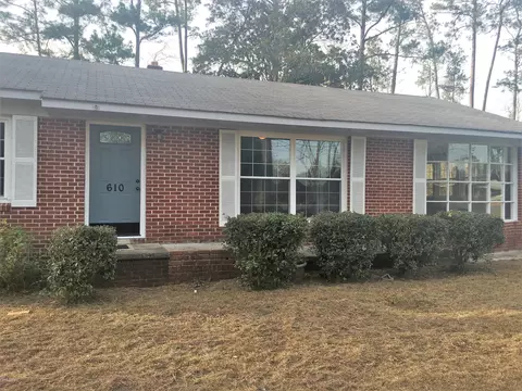 610 Lightsey St Ext, Hampton, SC 29924 photo 3