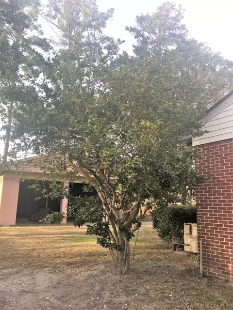 610 Lightsey St Ext, Hampton, SC 29924 photo 6