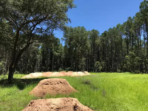 22 Bartons Run Dr, Bluffton, SC 29910 photo 5