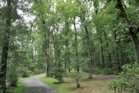 215 Bonanza Rd, Bamberg, SC 29003 photo 31