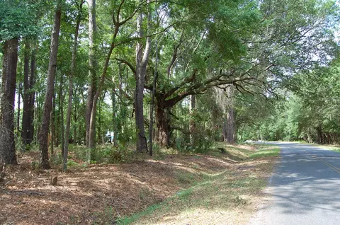 141 Gannet Point Rd, Beaufort, SC 29907 photo 5