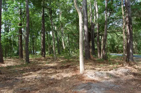 141 Gannet Point Rd, Beaufort, SC 29907 photo 2