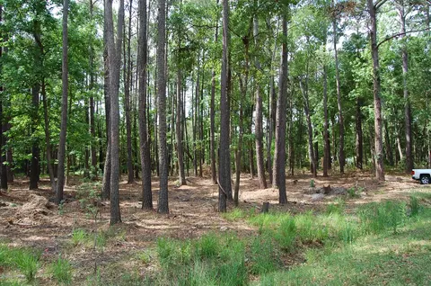 141 Gannet Point Rd, Beaufort, SC 29907 photo 4