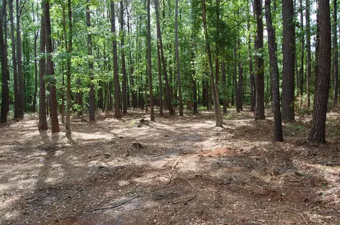 141 Gannet Point Rd, Beaufort, SC 29907 photo 3