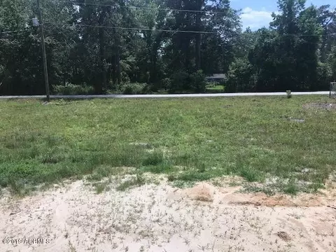 305 Jackson Ave W, Hampton, SC 29924 photo 9