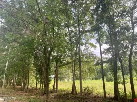 319 Goshen Ln, Hampton, SC 29924 photo 18