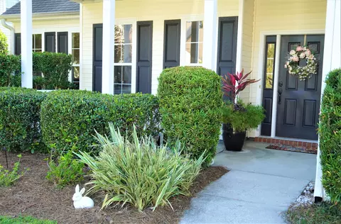 124 Pinecrest Dr, Bluffton, SC 29910 photo 6