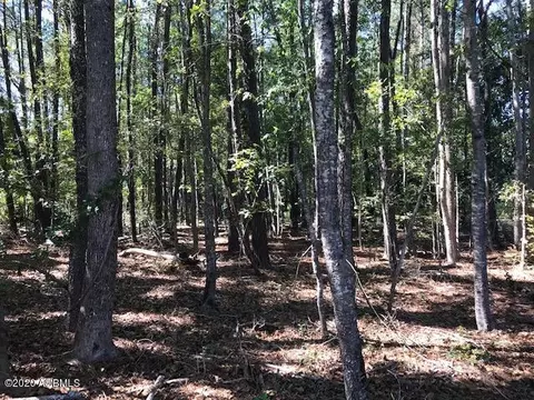 1569 Co Op Rd, Hampton, SC 29924 photo 48