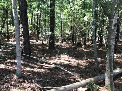 1569 Co Op Rd, Hampton, SC 29924 photo 49