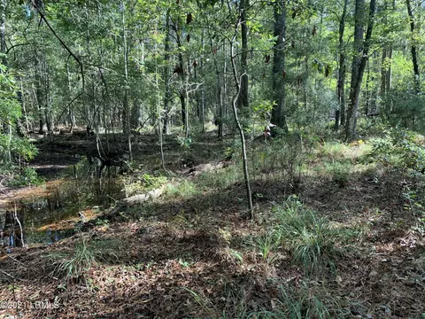 1220 Melvins Cir, Hampton, SC 29924 photo 3