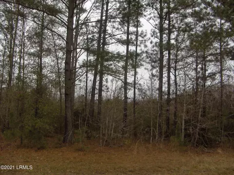 100 Fairway Dr, Hampton, SC 29924