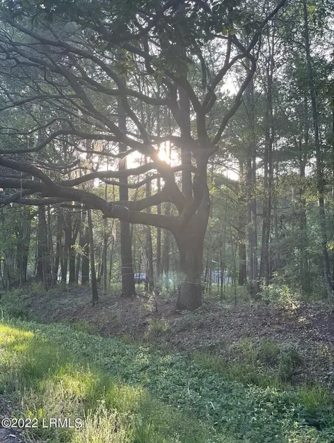 83 Gray Rd, Yemassee, SC 29945