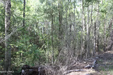 tbd Halifax Cir, Saint Helena Island, SC 29920