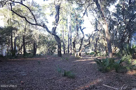 8 Reeve Ct, Dataw Island, SC 29920