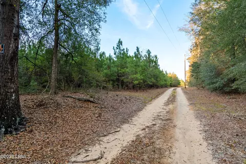33 Tiny Ln, Smoaks, SC 29481 photo 2