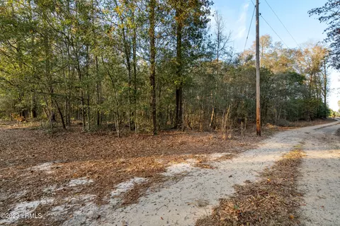 33 Tiny Ln, Smoaks, SC 29481 photo 3
