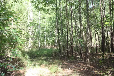 61 Thomas Wadley St, Furman, SC 29921
