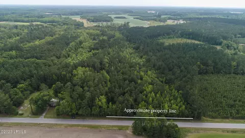 tbd Browning Gate Rd, Estill, SC 29918