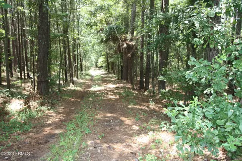 tbd Cotton Hill Rd, Tillman, SC 29943