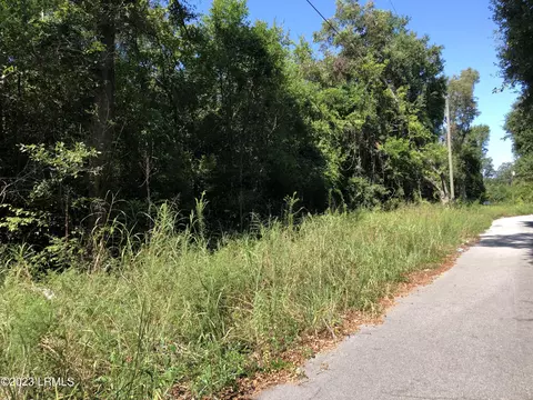 100 Nix Lane Marian St, Allendale, SC 29810