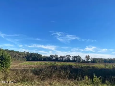 tbd Two Sisters Ferry Rd, Estill, SC 29918