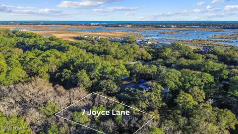 7 Joyce Ln, Hilton Head Island, SC 29926
