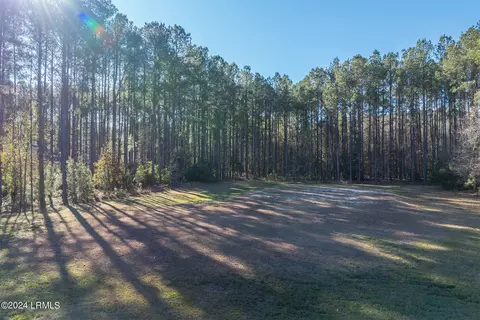 35 Bartons Run Dr, Bluffton, SC 29910 photo 4