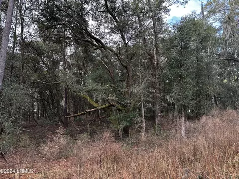 143 Trotters Loop, Beaufort, SC 29907
