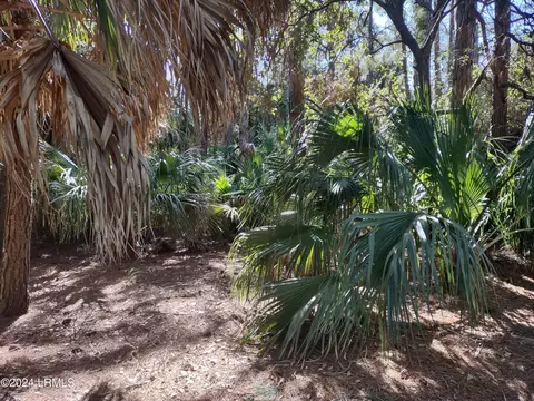 553 Remora Dr, Fripp Island, SC 29920