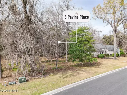 3 Pavins Pl, Bluffton, SC 29910 photo 13