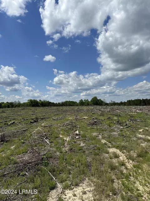 tbd River Rd, Allendale, SC 29810