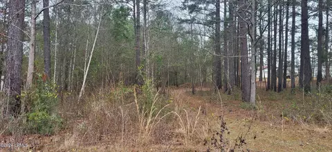 56 Edwards Ln, Varnville, SC 29944