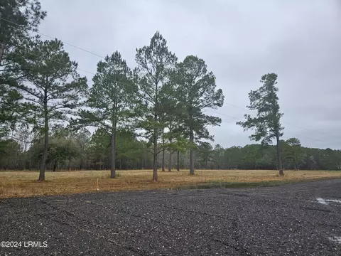 5 Lacy Love Ct, Ridgeland, SC 29936