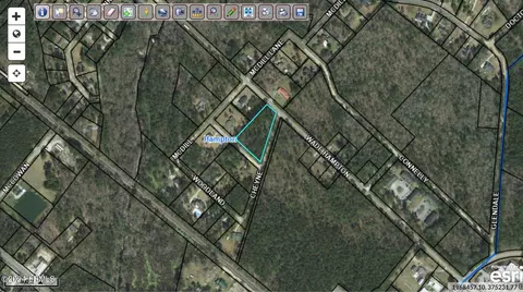 00 Pinedale, Hampton, SC 29924 photo 3