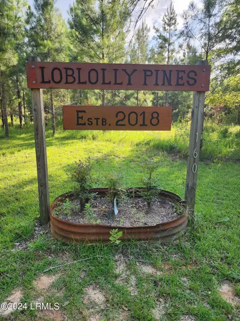 160 Ryan Ln, Allendale, SC 29810