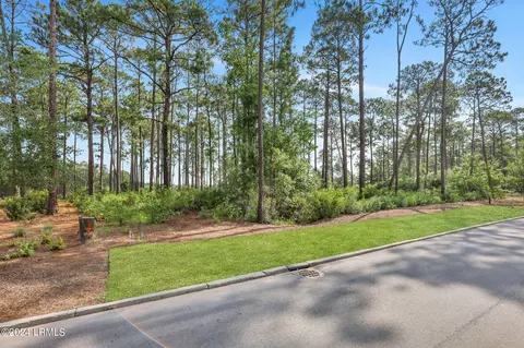 20 Redroot St, Bluffton, SC 29910 photo 20