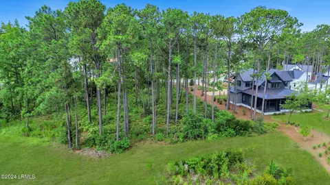 20 Redroot St, Bluffton, SC 29910 photo 5