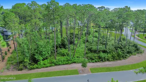 20 Redroot St, Bluffton, SC 29910 photo 17