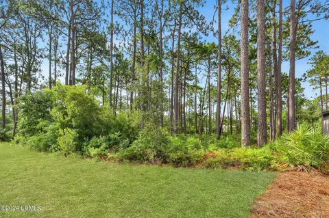 20 Redroot St, Bluffton, SC 29910 photo 24
