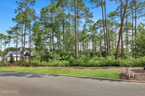 20 Redroot St, Bluffton, SC 29910 photo 22